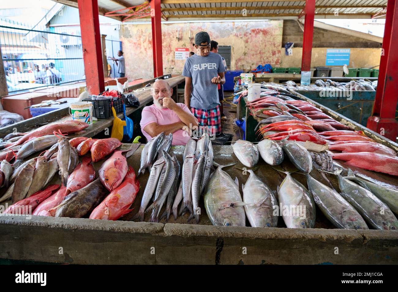 fish market on Sir Selwyn Clarke Market, Victoria, Mahe, Seychelles