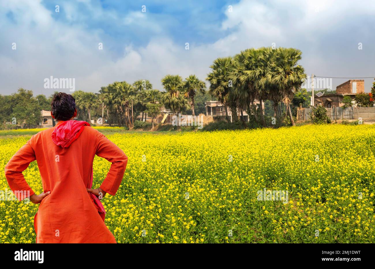 Indian farmer standing beside an agriculture field and looks at his ripe crops waiting to be harvested at a village in Hampi Karnataka Stock Photo