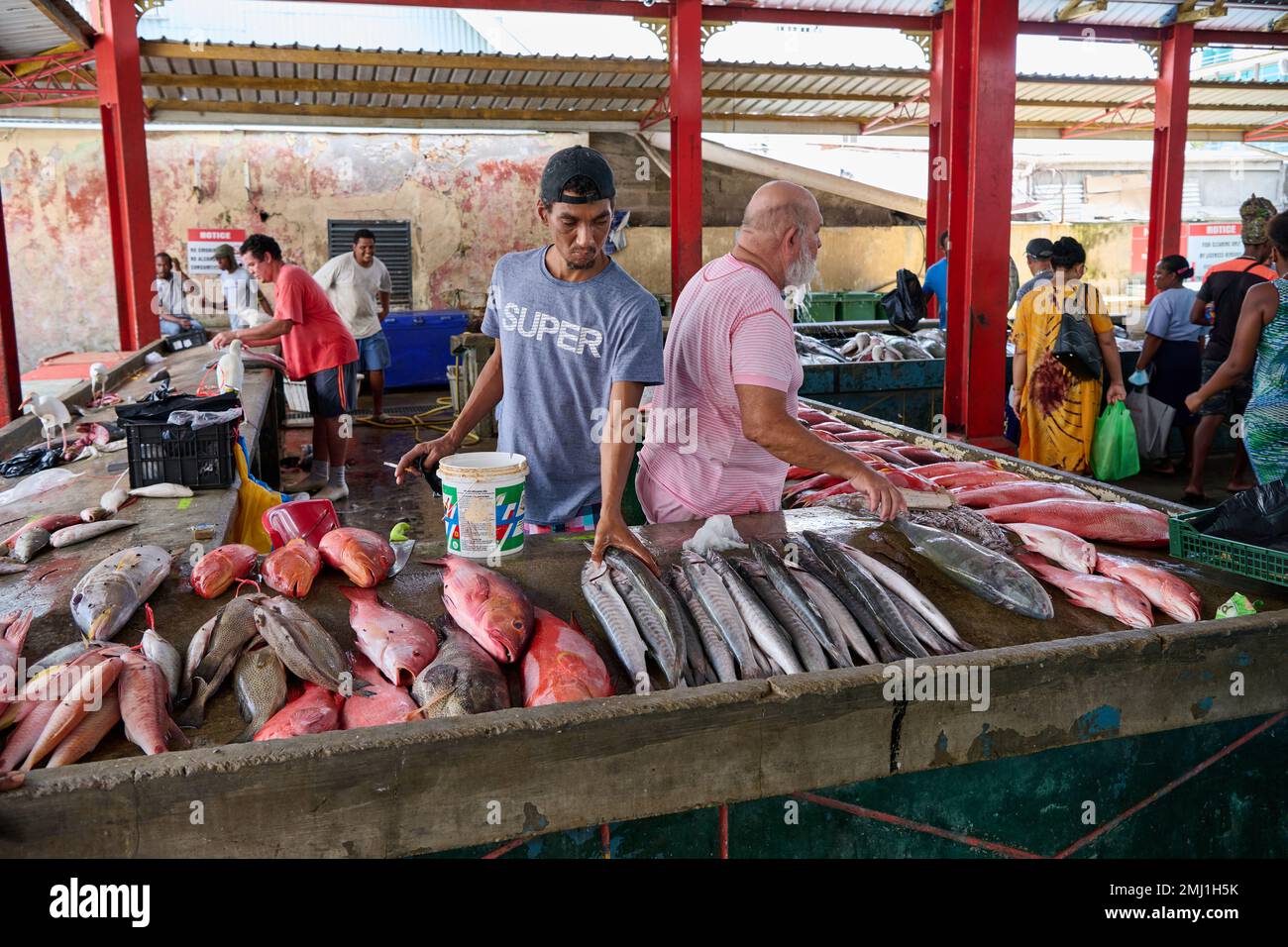 fish market on Sir Selwyn Clarke Market, Victoria, Mahe, Seychelles