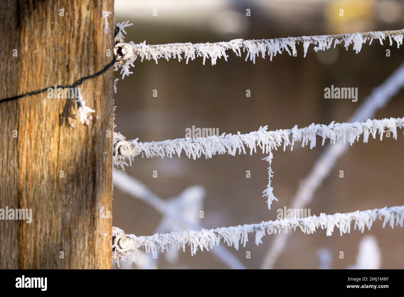 Frosty winter weather with icy deposits on electric fencing hanging like ice chrystals along the cold steel wires Stock Photo