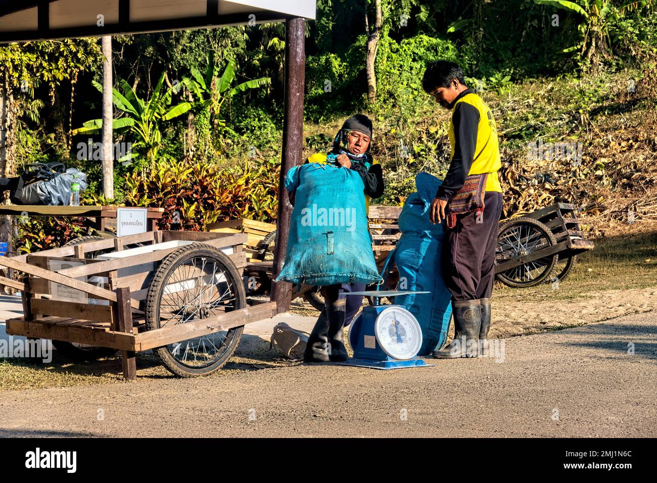 Porters weighing their bags for hiking to Khao San Nok Wua mountain, Khao Laem National Park, Kanchanaburi, Thailand Stock Photo