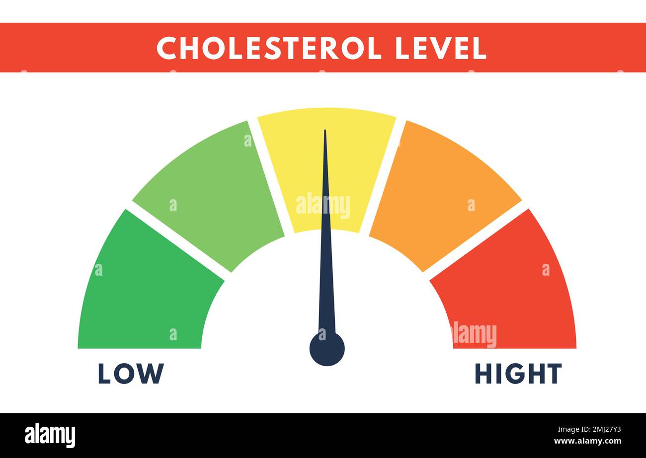 Cholesterol Meter. Level scale of hyperlipidemia. Check of blood