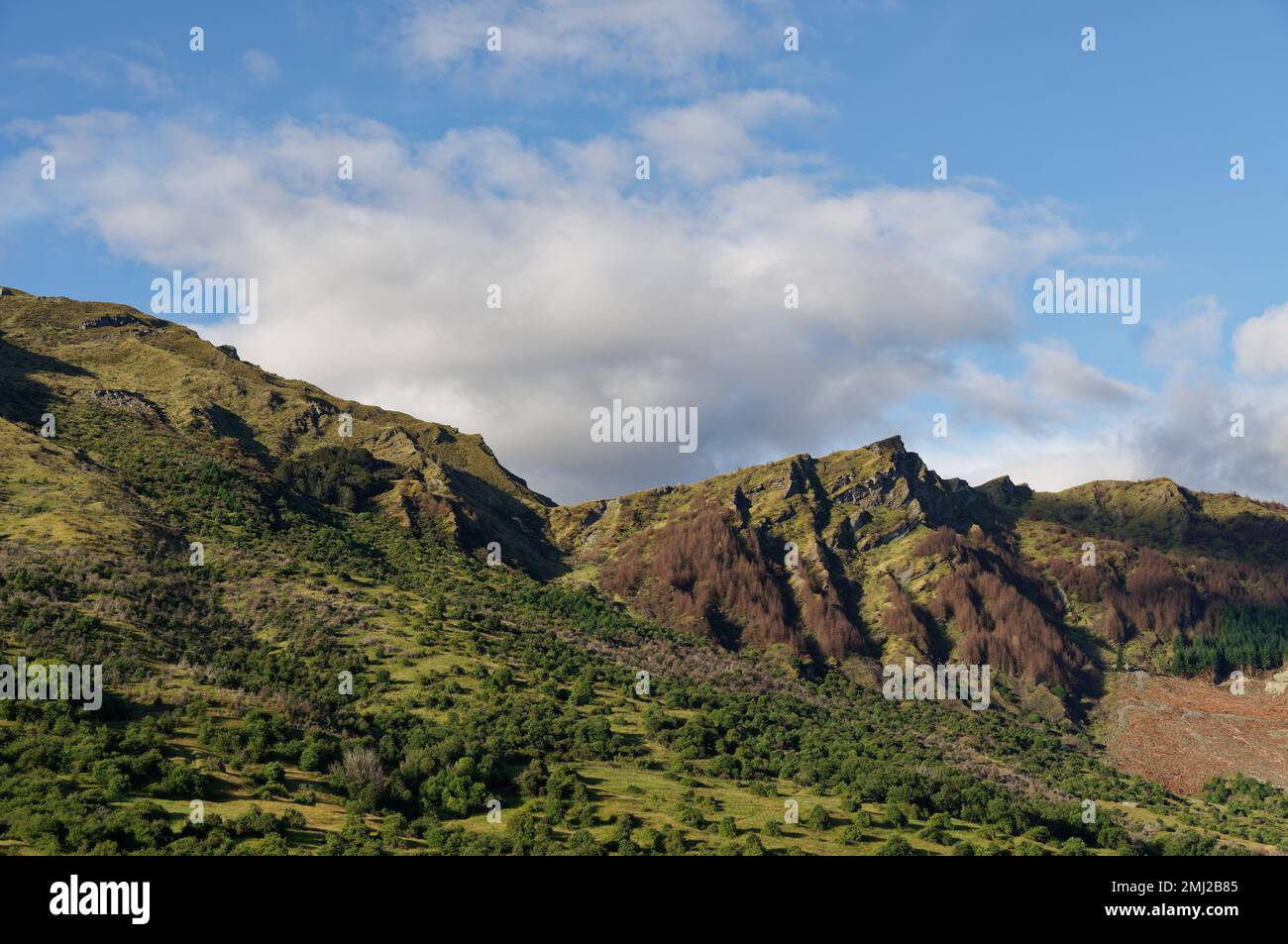 Queenstown Mountains Art Print