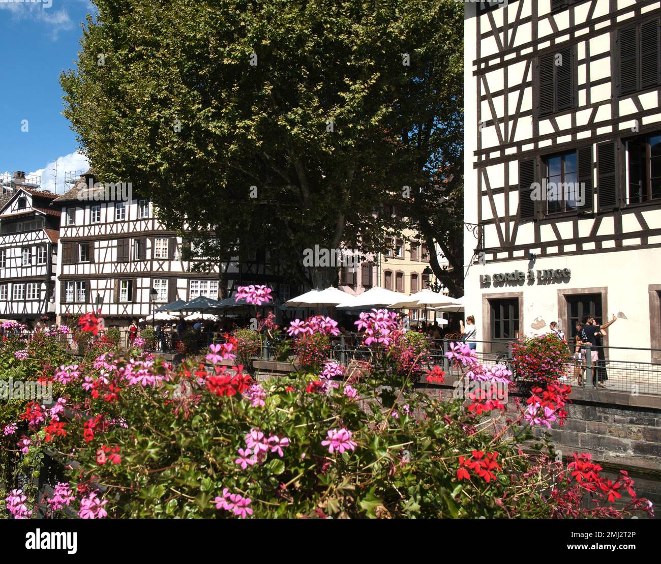 Half-timbered buildings, flowers and cafe terrace near canalside ,Strasbourg, Alsace, France Stock Photo