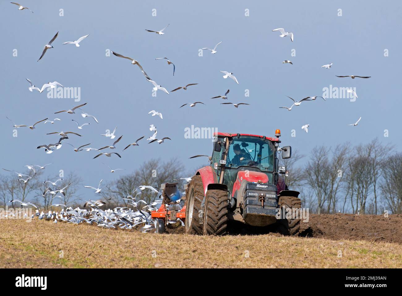 Disturbing expose hi-res stock photography and images - Alamy