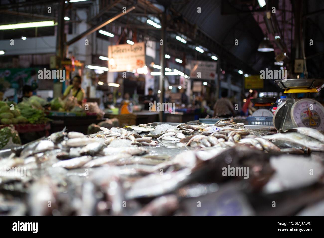 Indoor Market in Samut Songkhram a Small City in Thailand Stock Photo