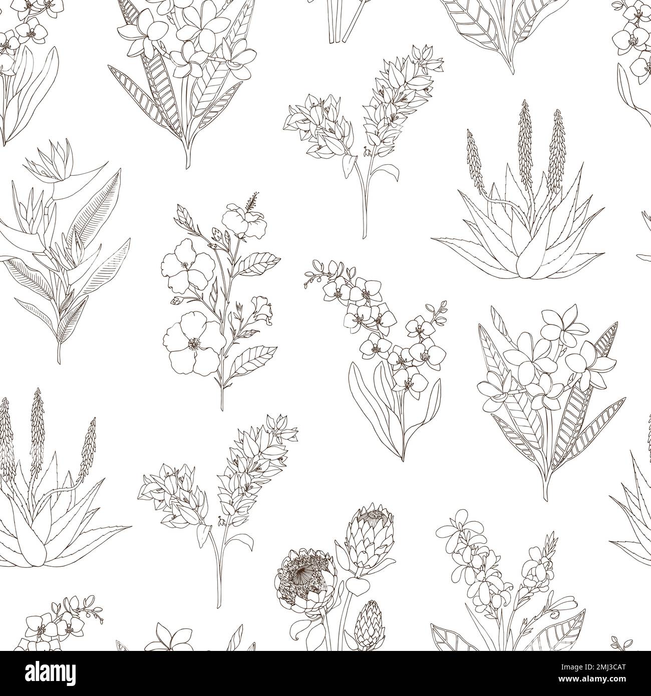 Vector seamless pattern of tropical flowers isolated on white background. Hand drawn floral background. Sketch style tropic design elements Stock Vector