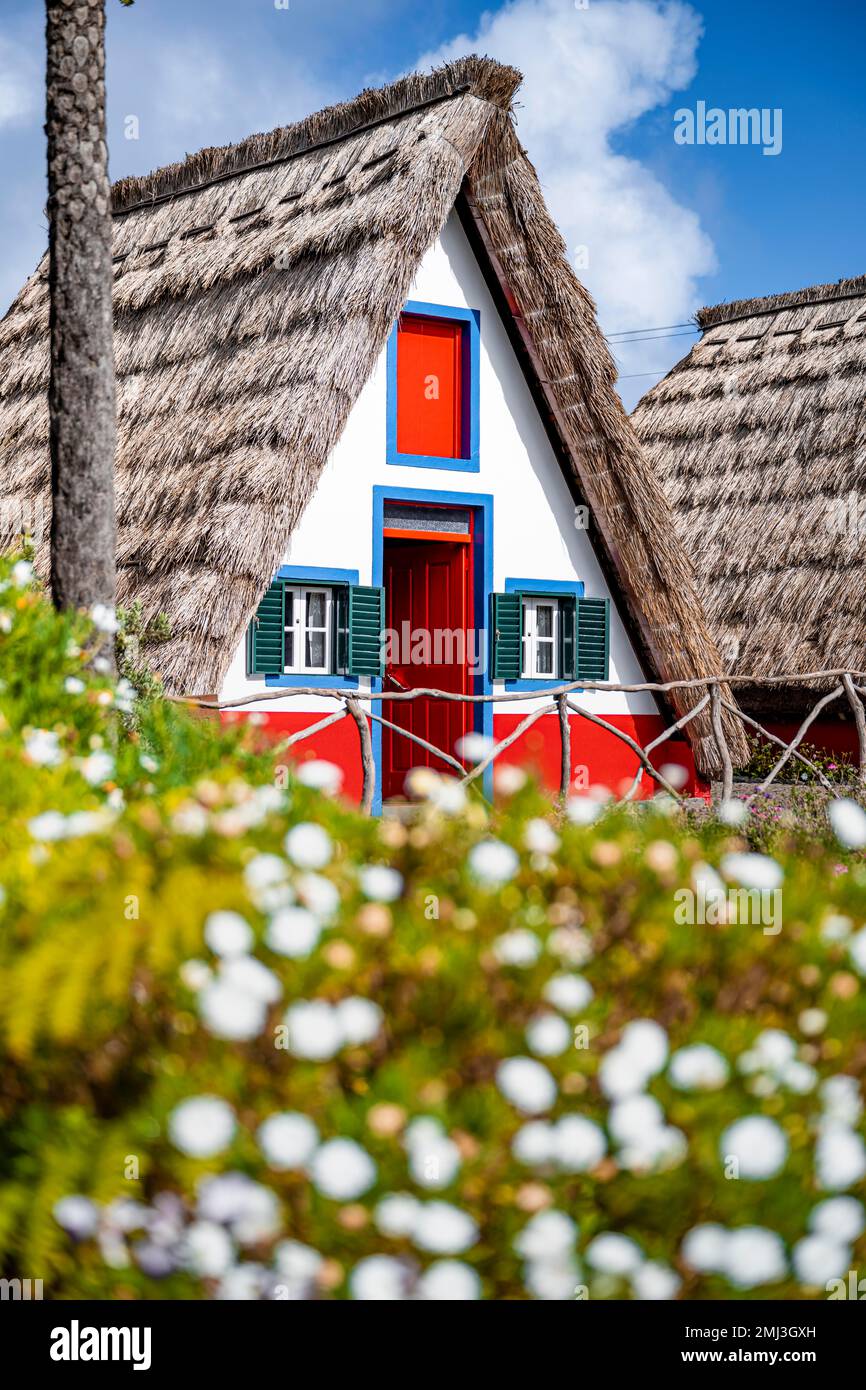 Traditional thatched house in Santana, Casa de Colmo, Madeira Island, Portugal Stock Photo