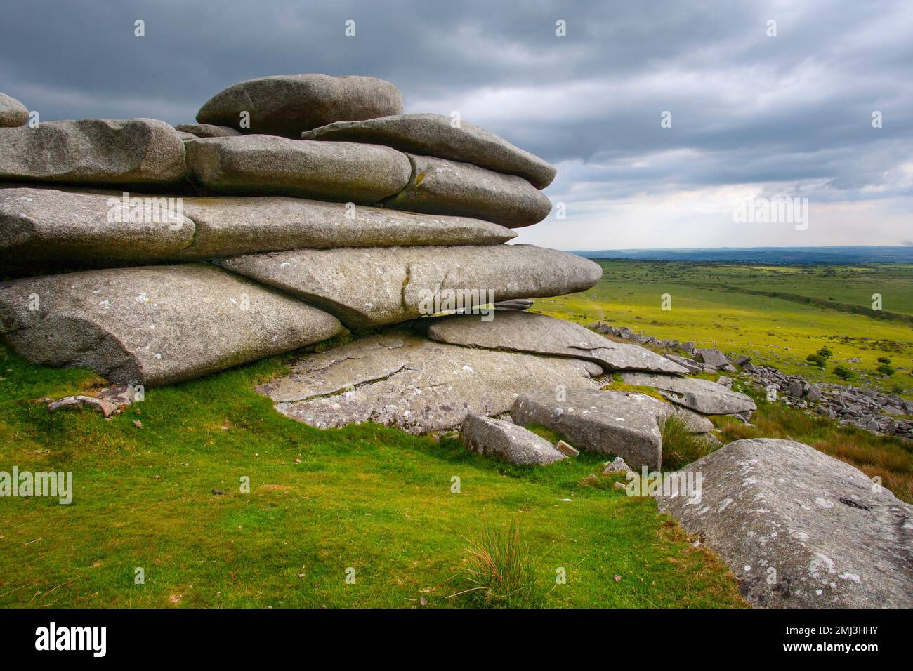 Well preserved wildlife hi-res stock photography and images - Alamy