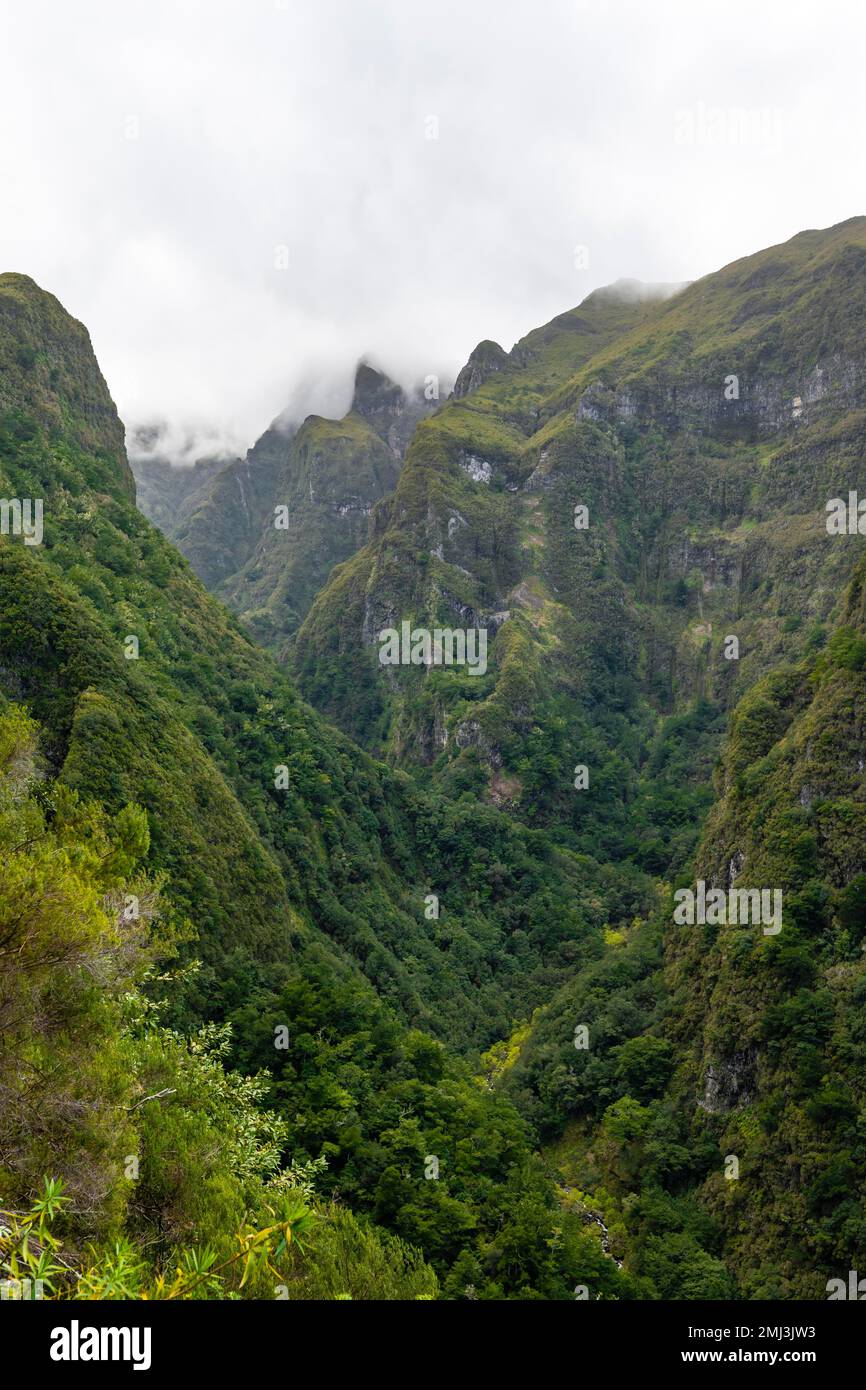 Inland landscape, mountain valley with forest at Caldeirao Verde, Madeira, Portugal Stock Photo