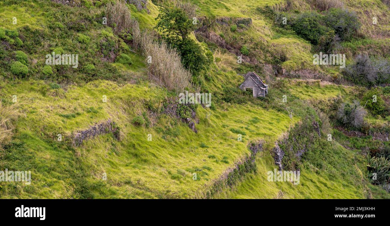 Ruin on a steep slope, near Calhau das Achadas, Madeira, Portugal Stock  Photo - Alamy