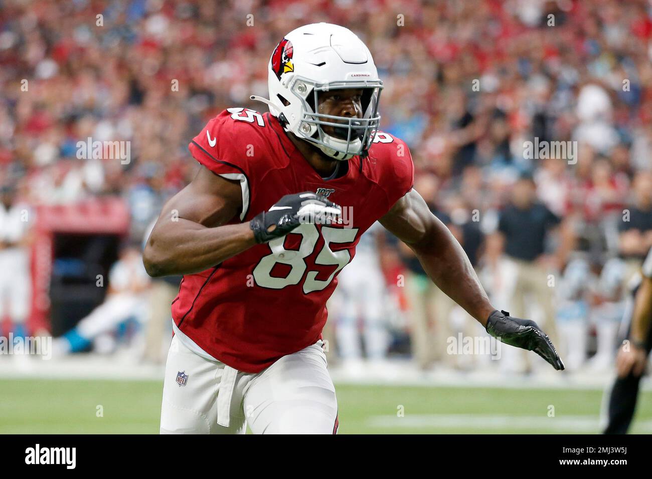 Arizona Cardinals Top Plays vs. Carolina Panthers