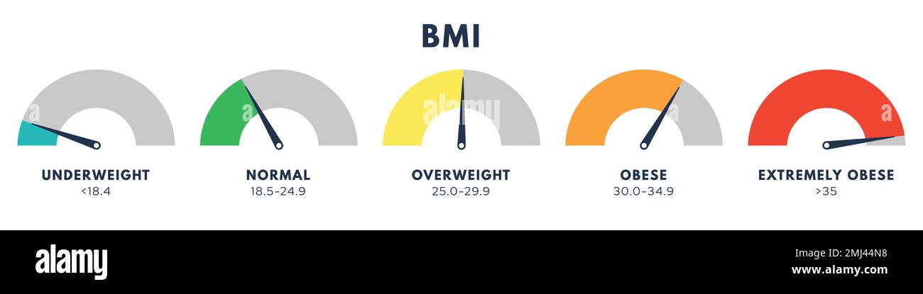 BMI chart, scale, vector illustration. Body mass index meter, weight  control measurement tool. Stock Vector