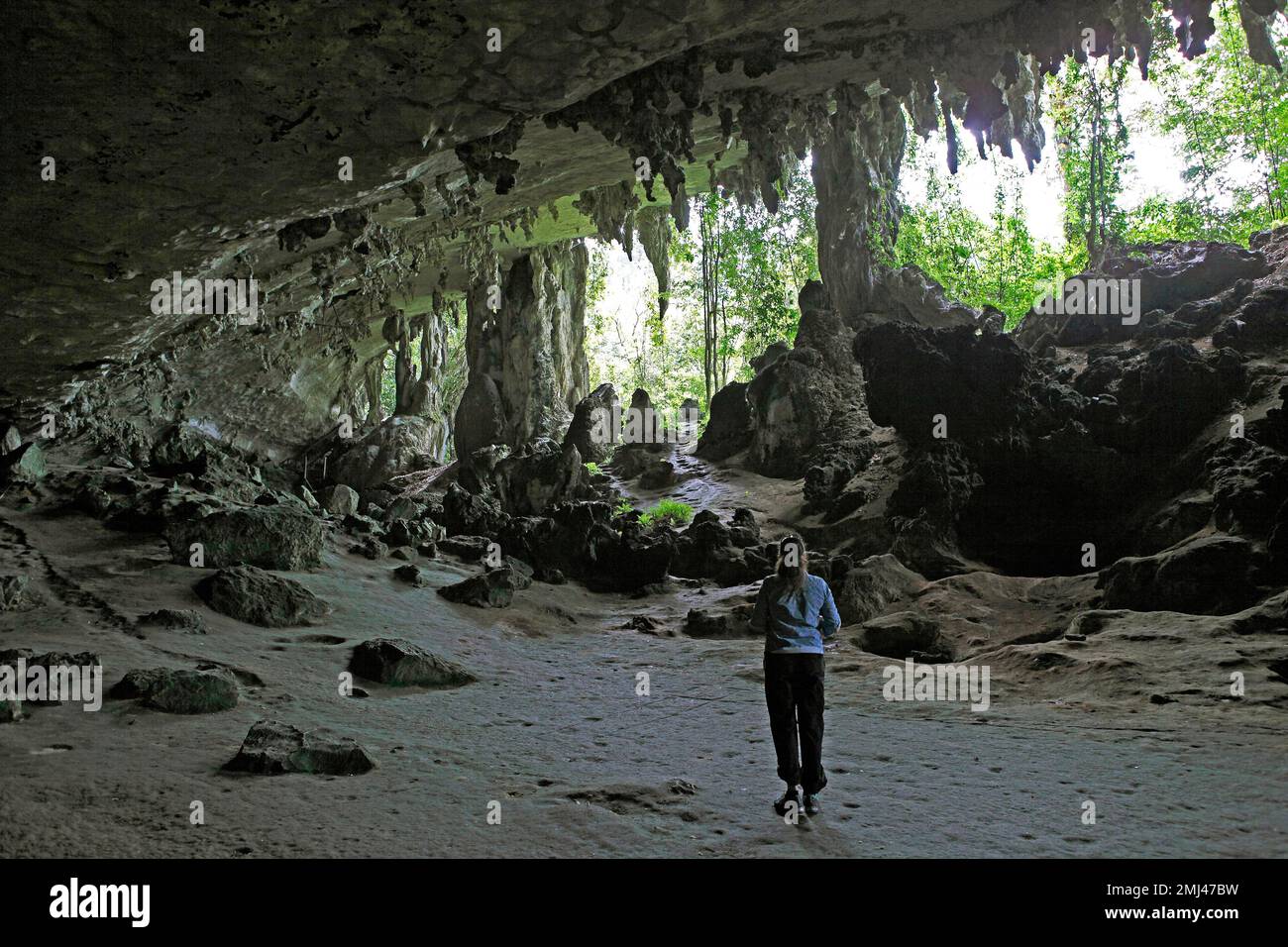 Niah Cave Complex, Niah National Park, Miri District, Sarawak, Borneo, Malaysia Stock Photo