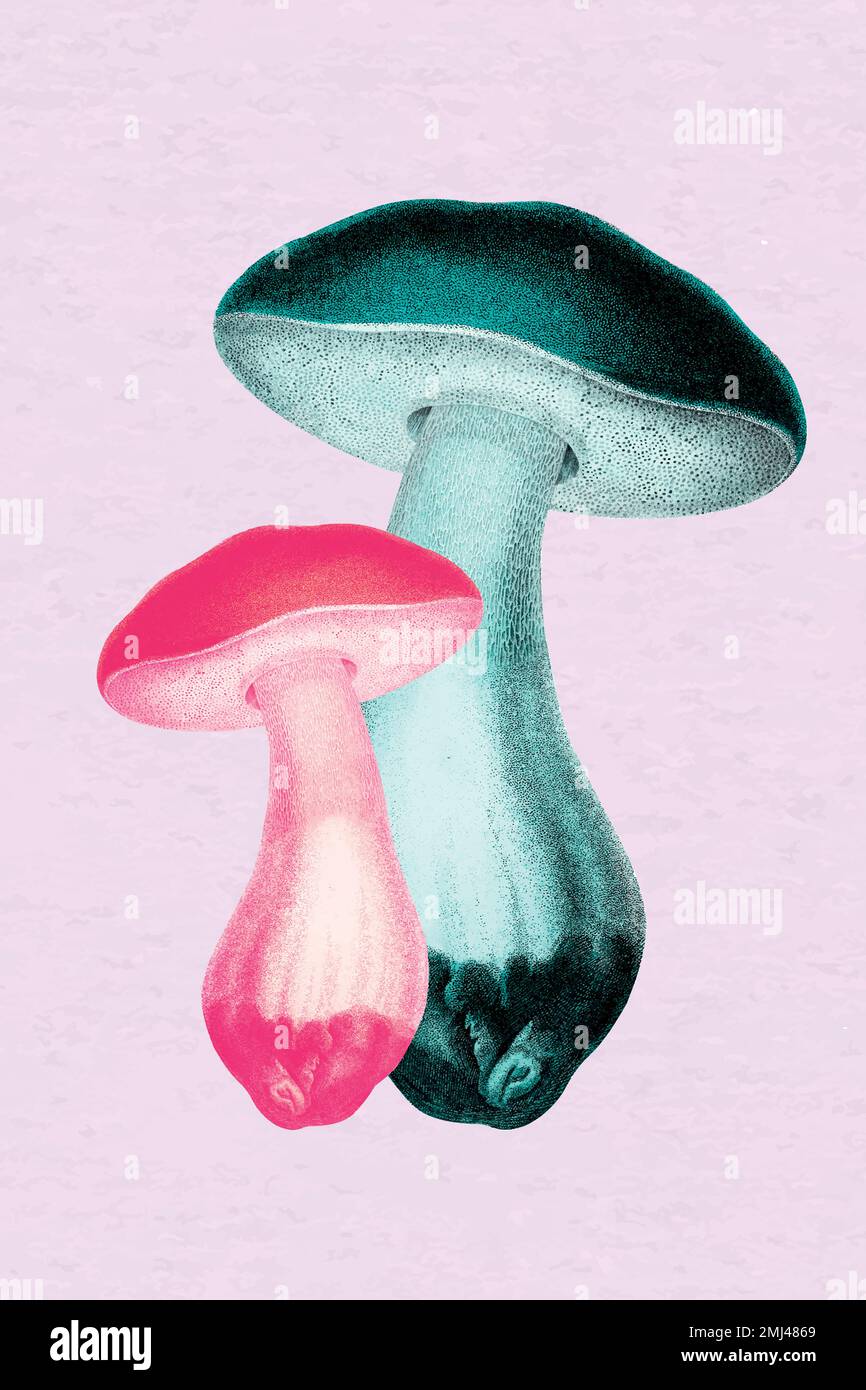 Collage retro aesthetic mushroom vector, negative effect neon mixed