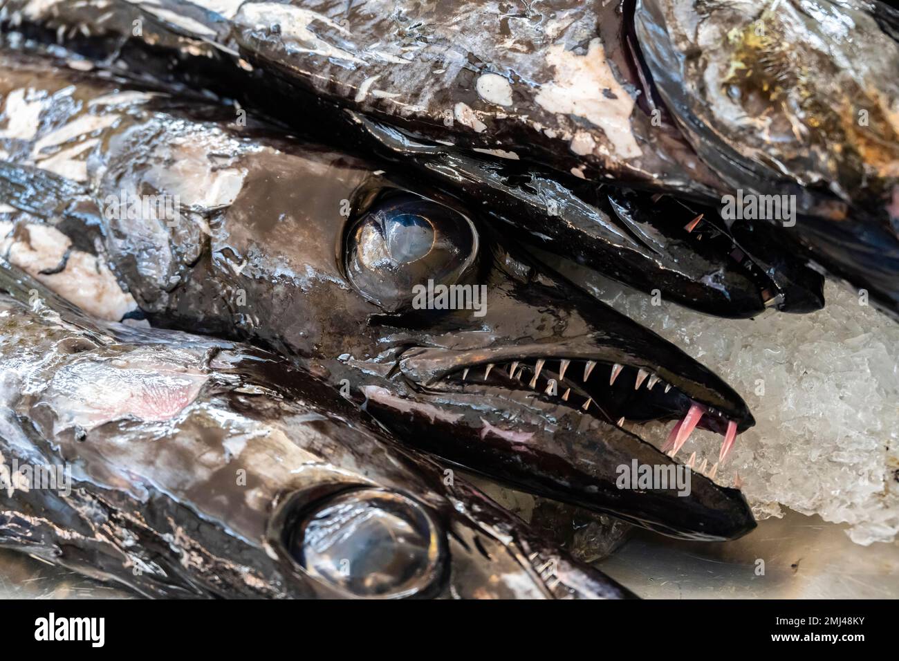Edible fish, scabbardfish Espada, Mercado dos Lavradores, Funchal, Madeira, Portugal Stock Photo