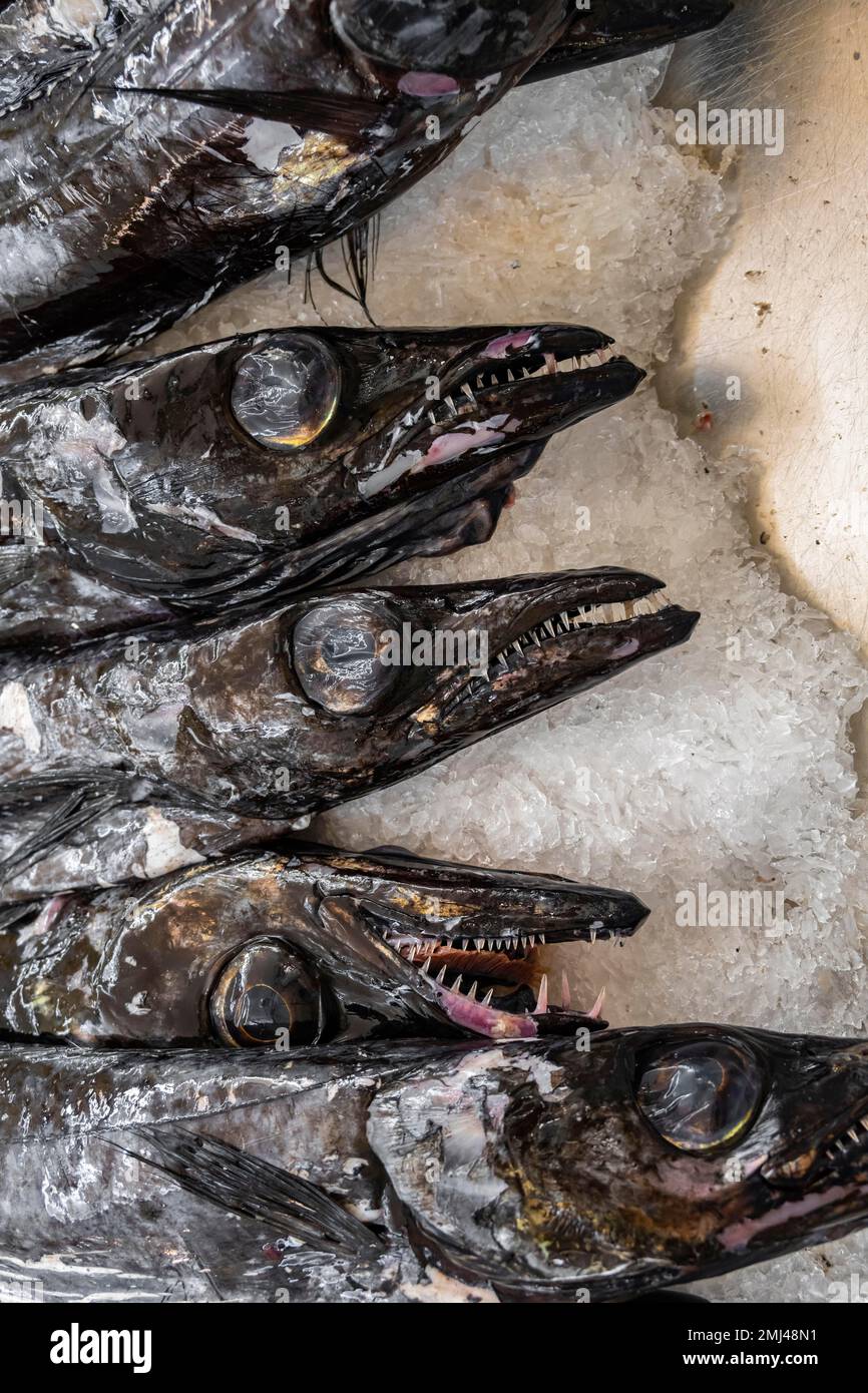 Edible fish, scabbardfish Espada, Mercado dos Lavradores, Funchal, Madeira, Portugal Stock Photo