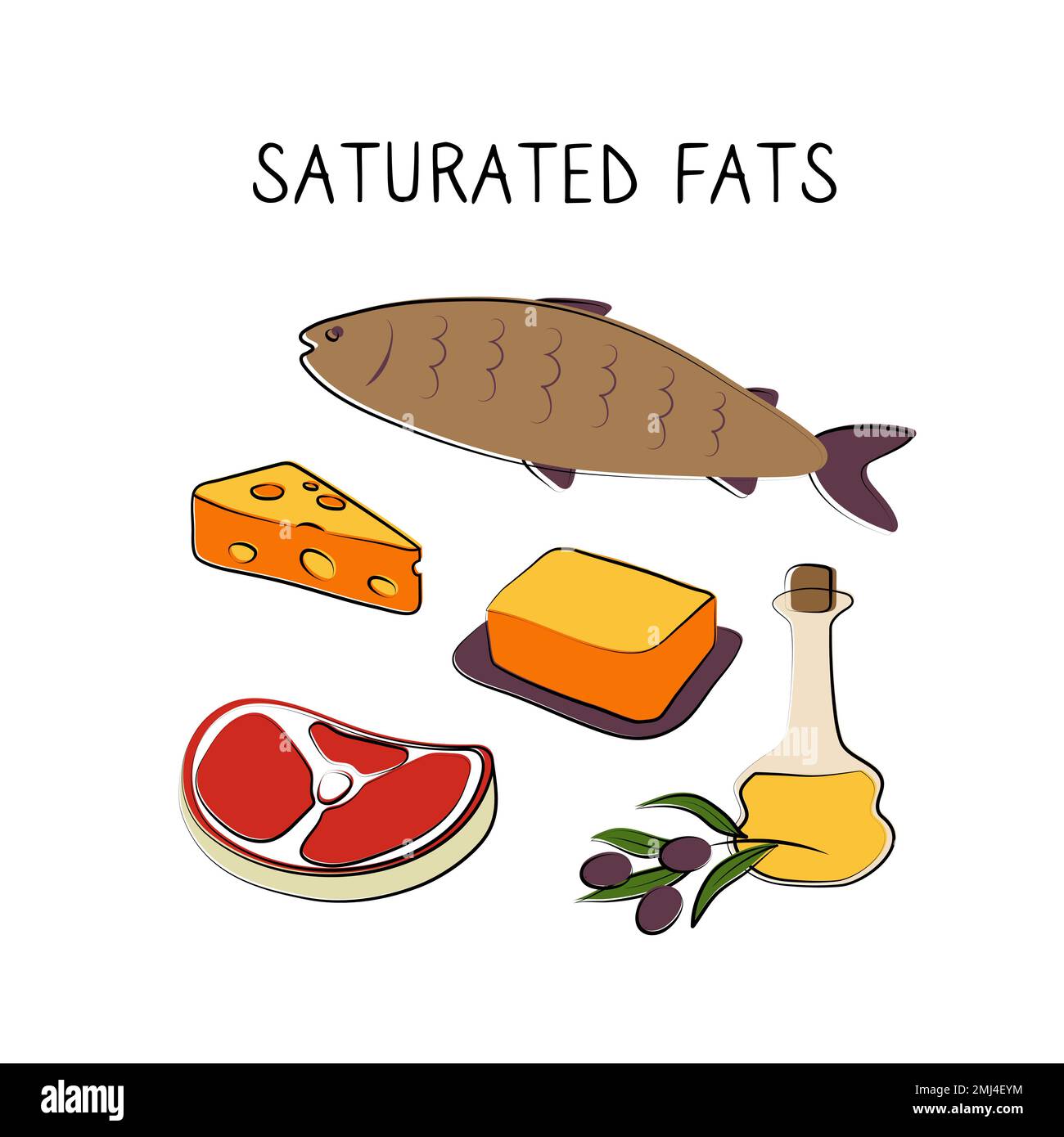 Saturated fatty acids-containing food. Groups of healthy products containing vitamins and minerals. Set of fruits, vegetables, meats, fish and dairy. Stock Vector