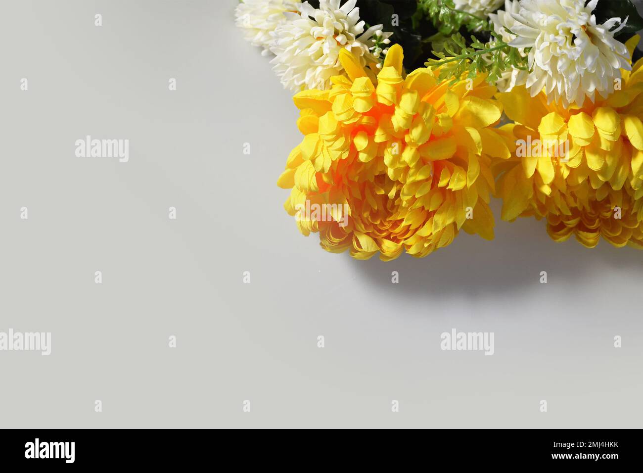 Sympathy card with chrysanthemum flowers and copy space. Condolence background concept. Stock Photo