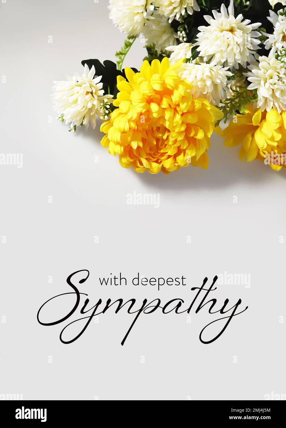 Sympathy card with chrysanthemum ? appreciate Stock Photo
