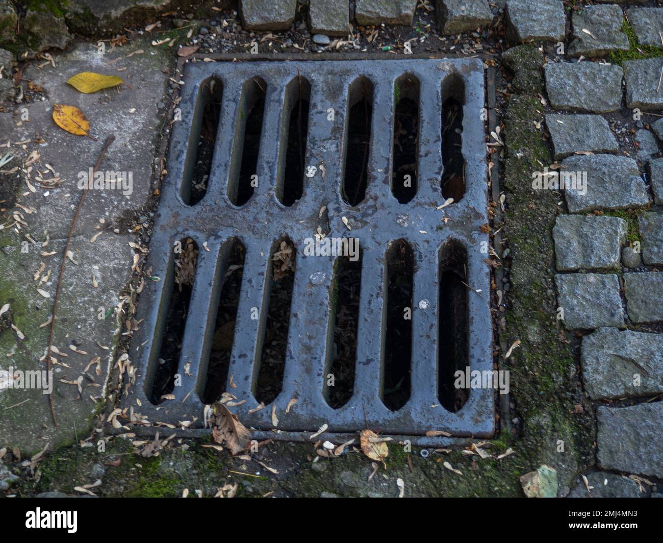 Rain grate. Sewer grate. City infrastructure Stock Photo Alamy