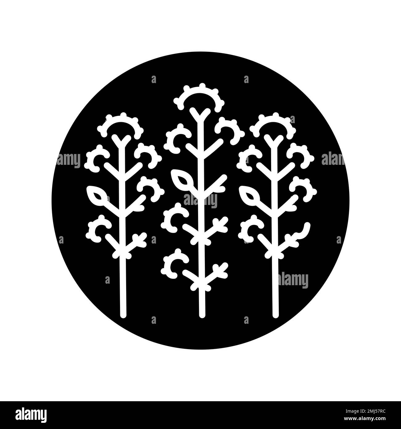 Oregano сolor line icon. Pictogram for web page. Stock Vector