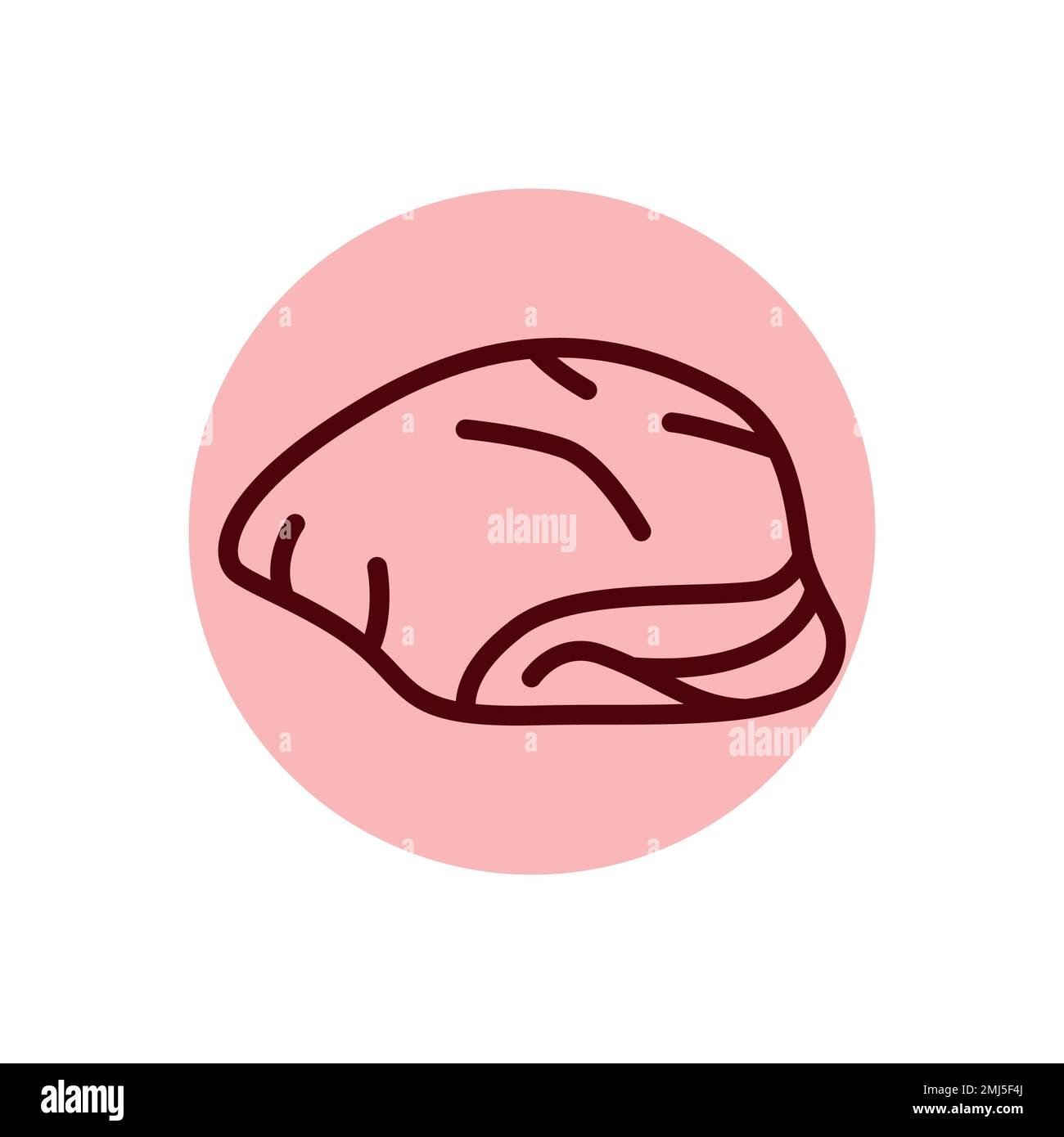 Beef liver color line icon. Cutting meat. Pictogram for web page, mobile app, promo Stock Vector