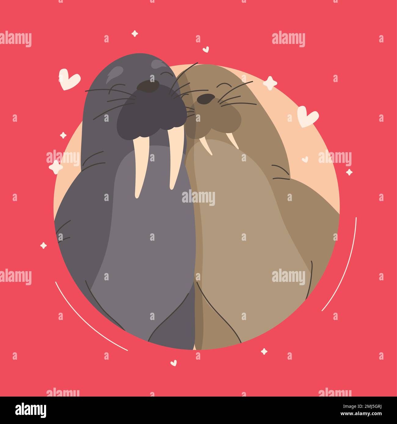 cute seals lovers couple characters Stock Vector Image & Art Alamy