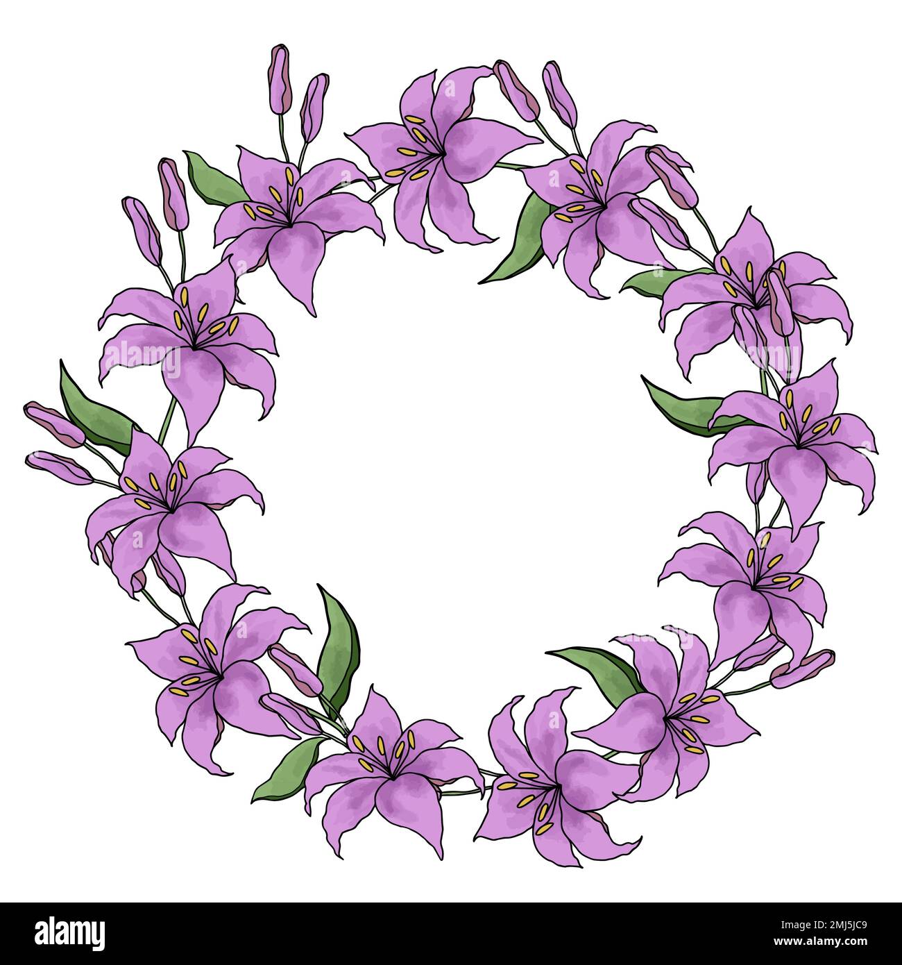 Lilly hand drawn flower Stock Vector Image & Art - Alamy