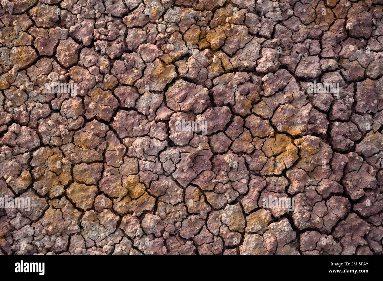 Yello Mud Rocks Mud cracks at Yellow Mounds in Badlands National Park, South Dakota ...