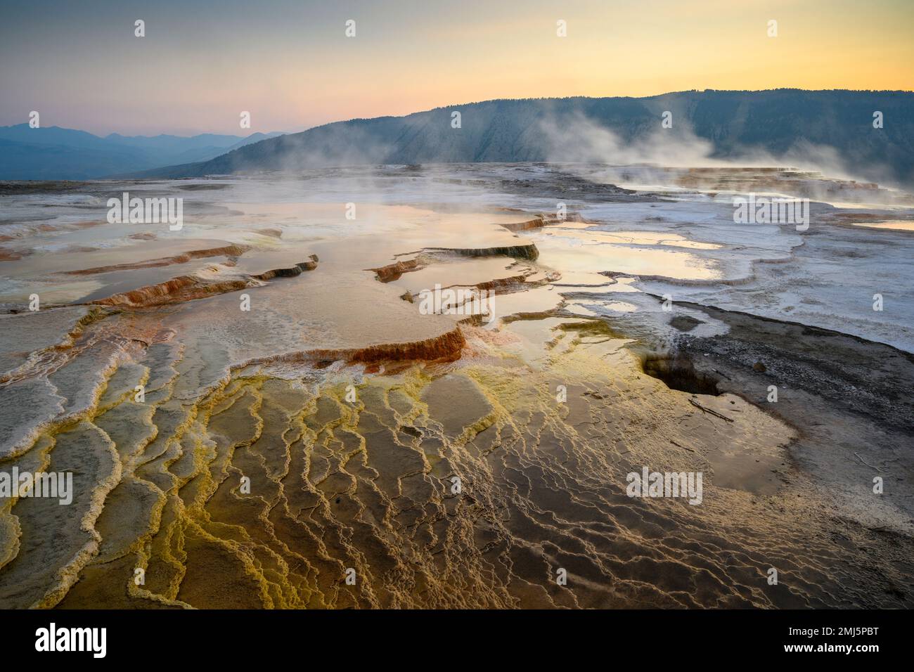 Grassy Spring at Upper Mammoth Terraces in Yellowstone National Park. Stock Photo