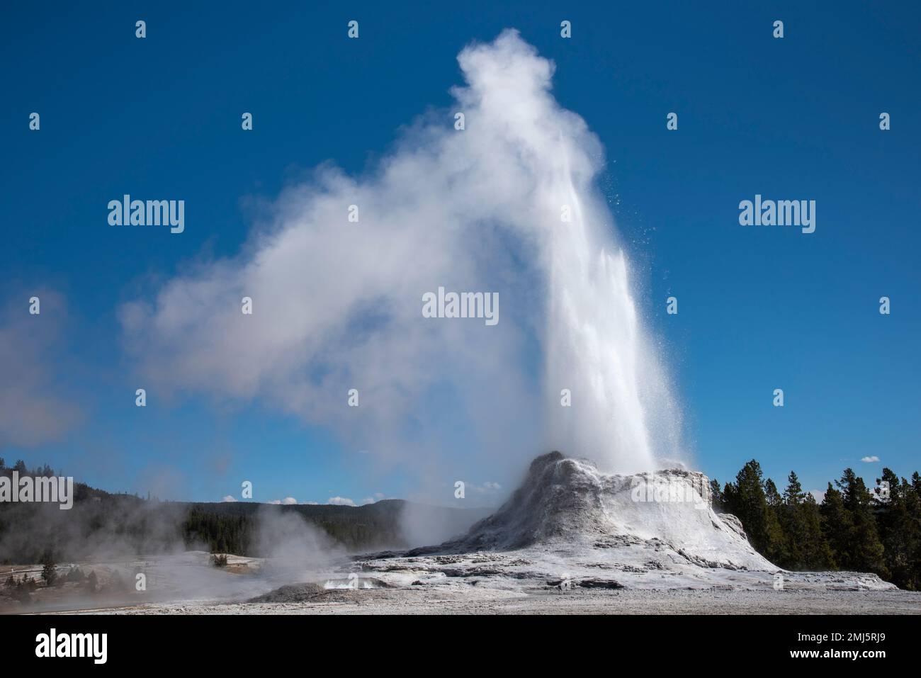 Castle Geyser erupting in Yellowstone National Park. Stock Photo