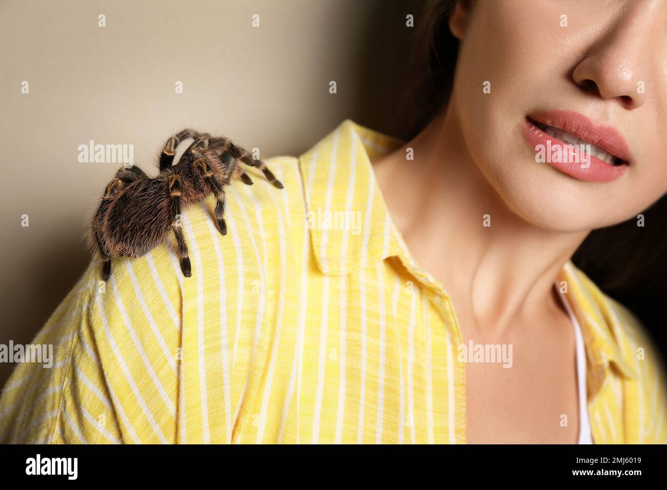 Scared young woman with tarantula on beige background, closeup. Arachnophobia (fear of spiders) Stock Photo