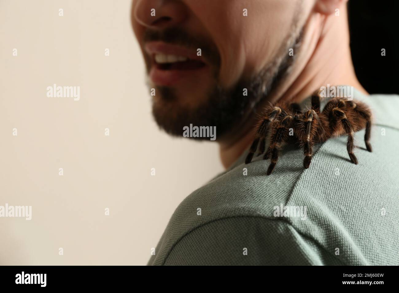 Scared man with tarantula on beige background, closeup. Arachnophobia ...