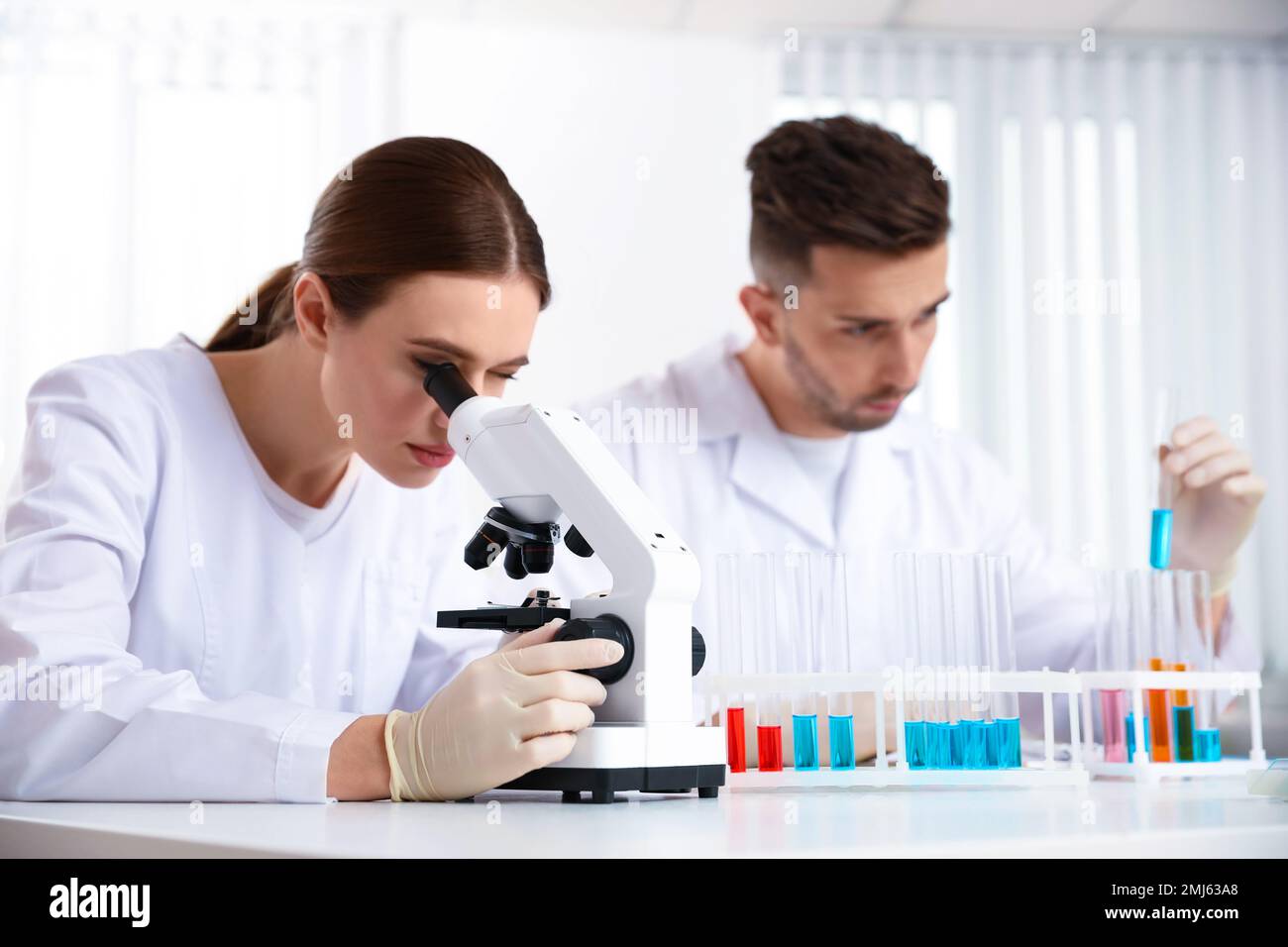 Scientist with microscope and colleague in laboratory. Medical research ...