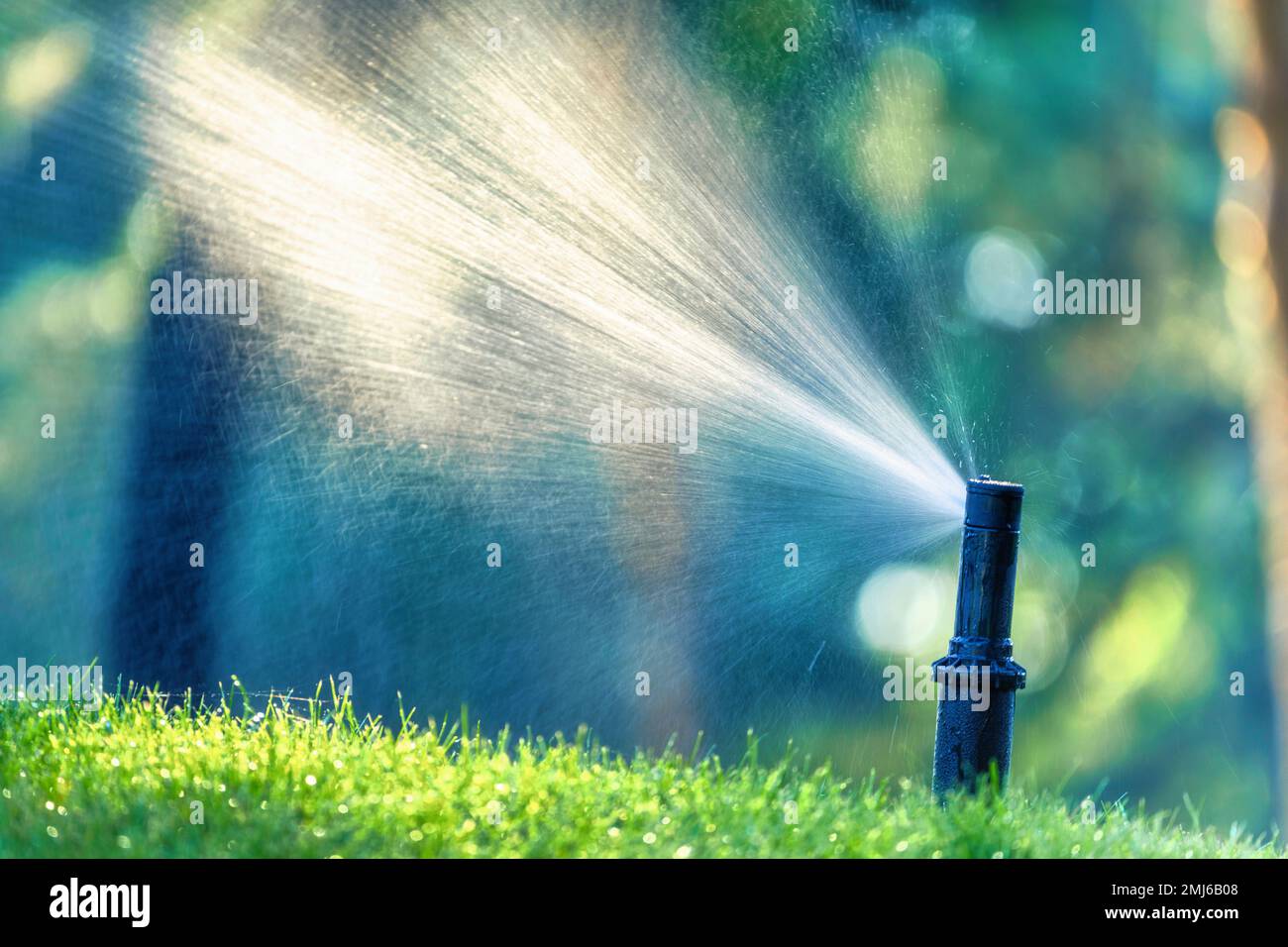 Automatic lawn watering system, watering the lawn in the backyard Stock