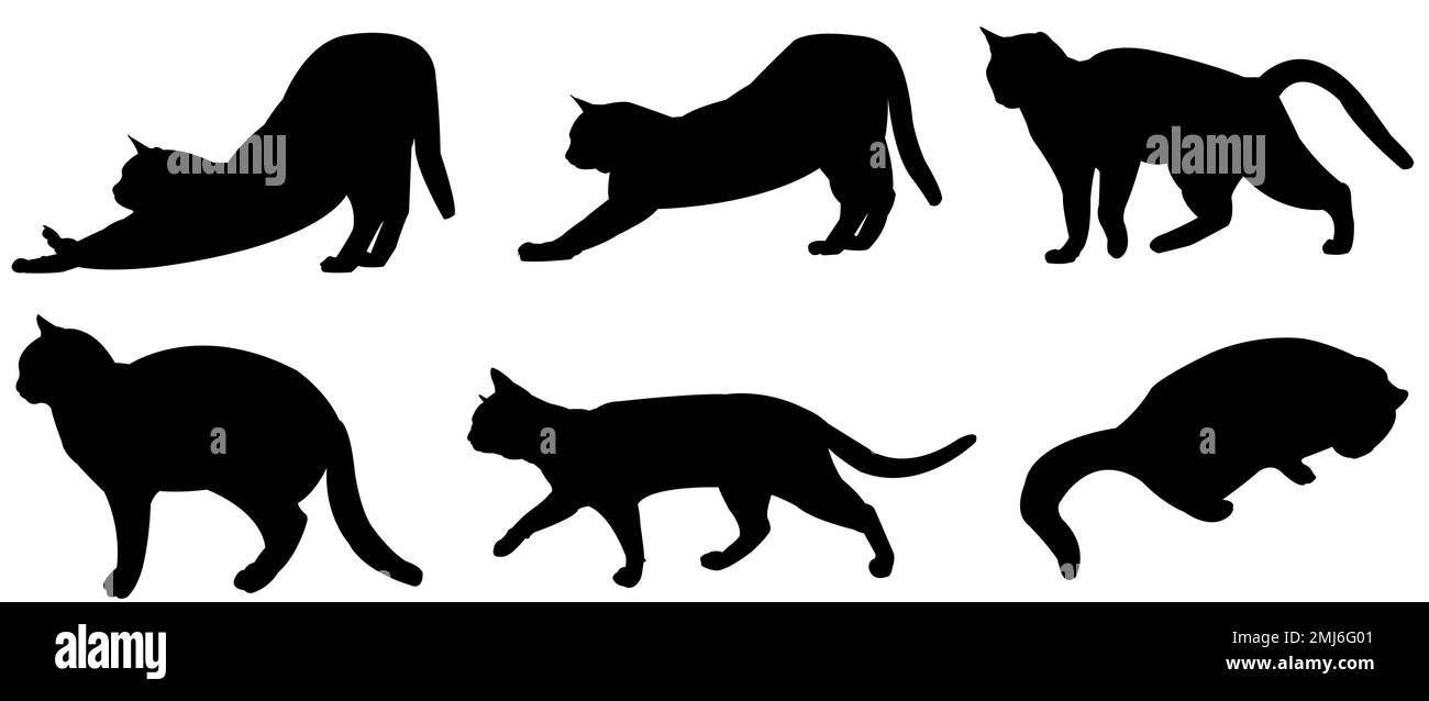 Cats vector set as silhouettes Stock Photo