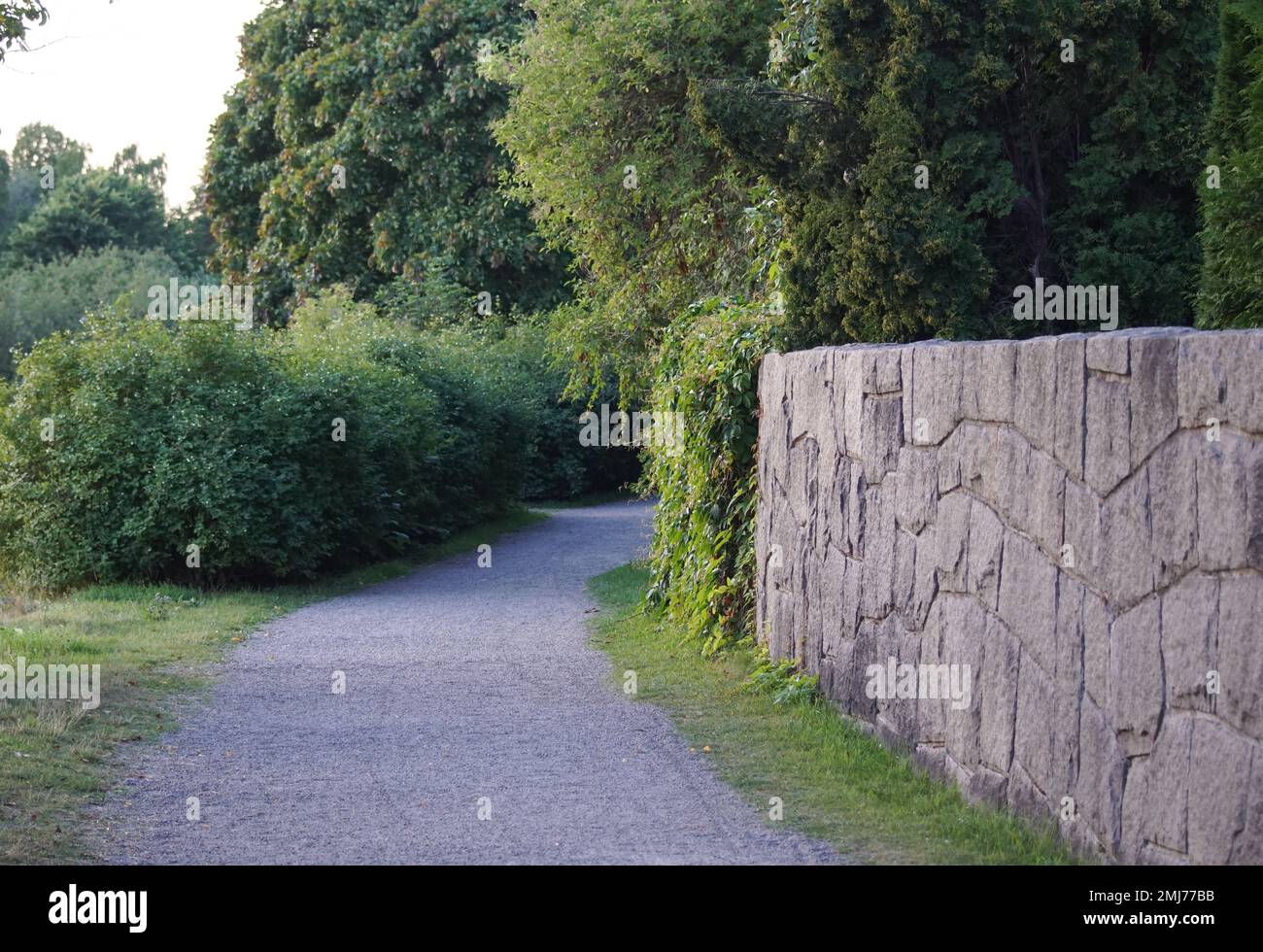 Empty footpath amidst trees and stone wall Stock Photo - Alamy