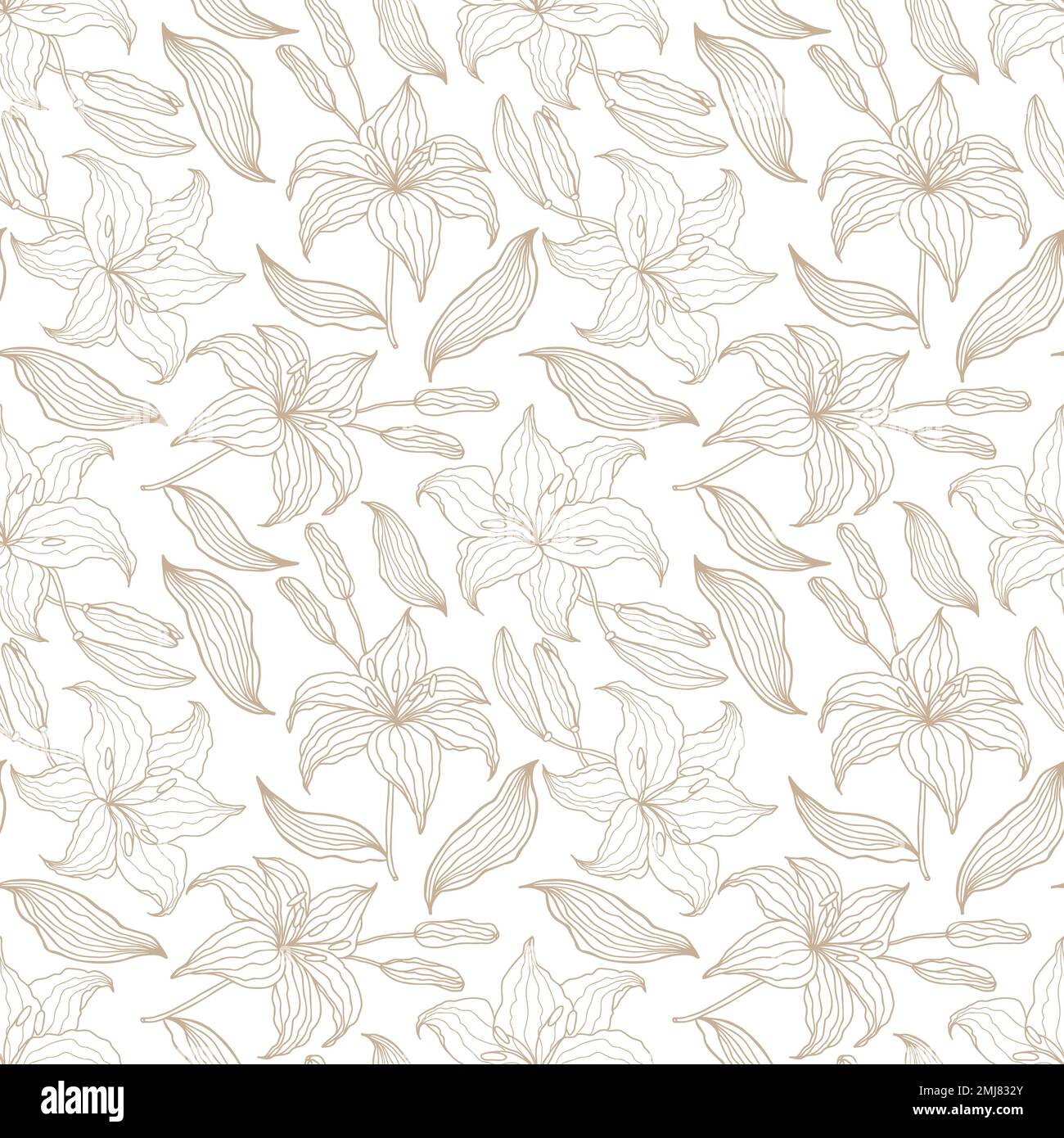 Lilly hand drawn flower Stock Vector Image & Art - Alamy