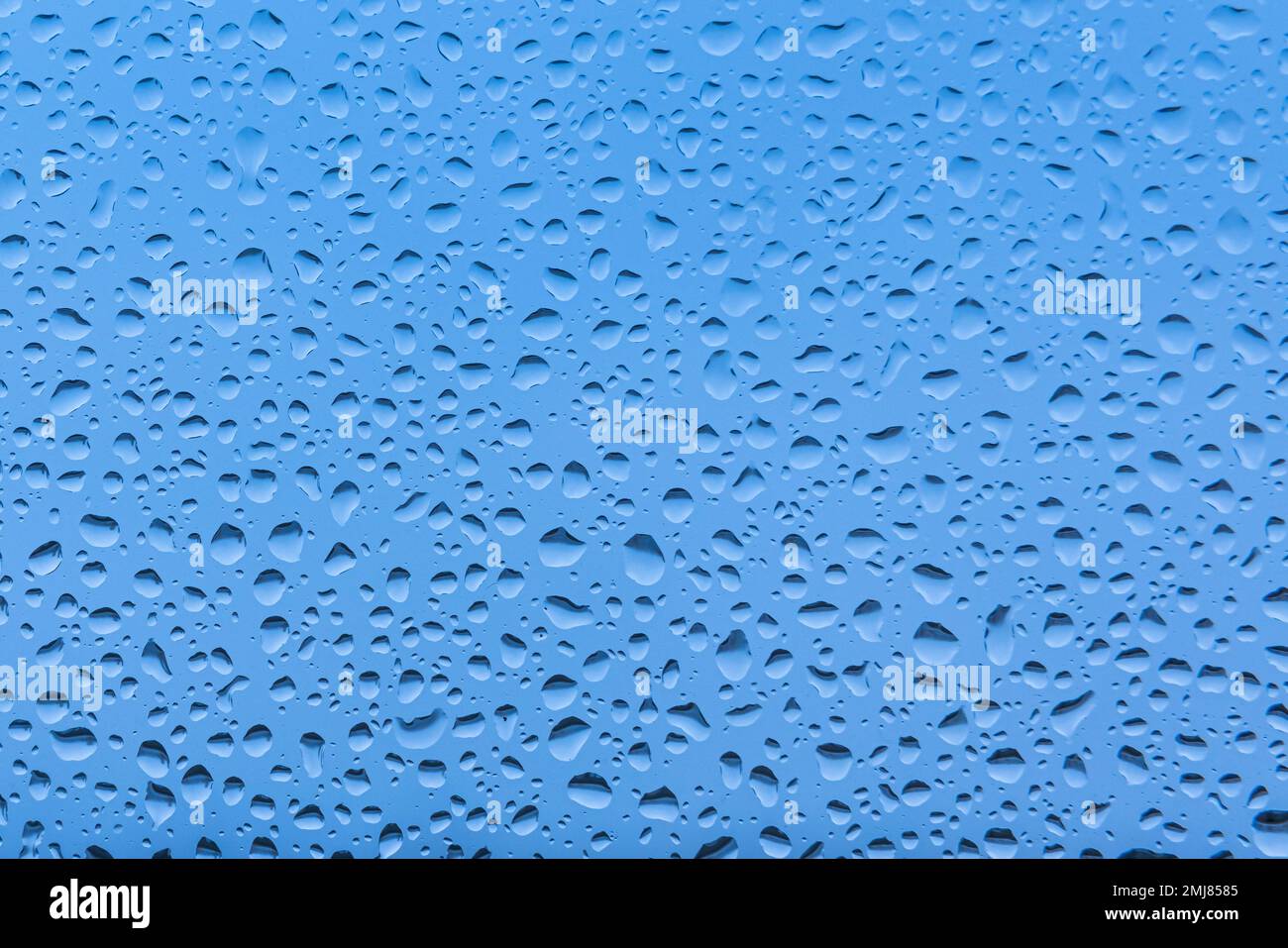 Water drops on white and grey background, with a slight blurred and gradient effect. Stock Photo