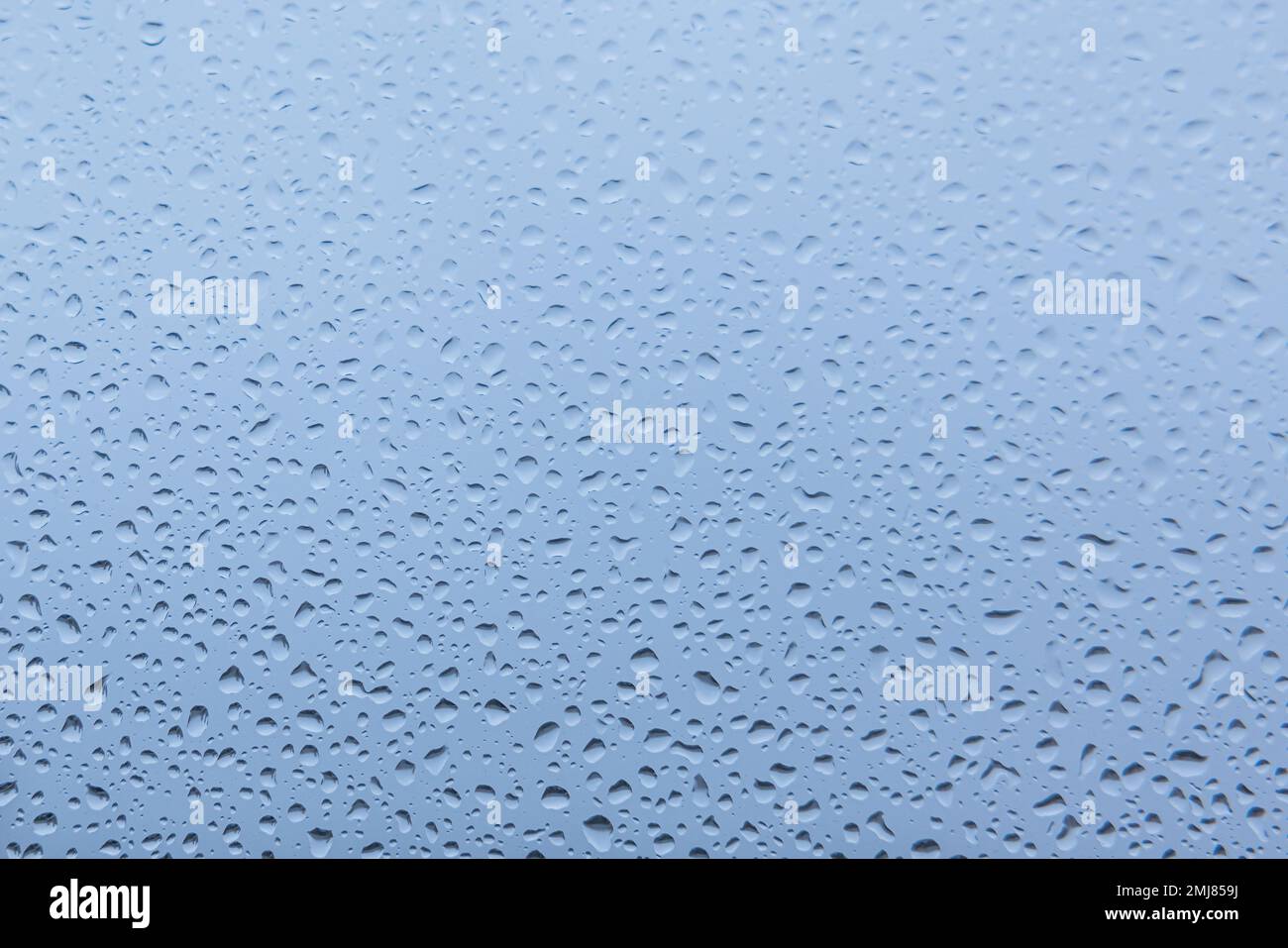 Water drops on white and blue background, with a slight blurred and gradient effect. Stock Photo