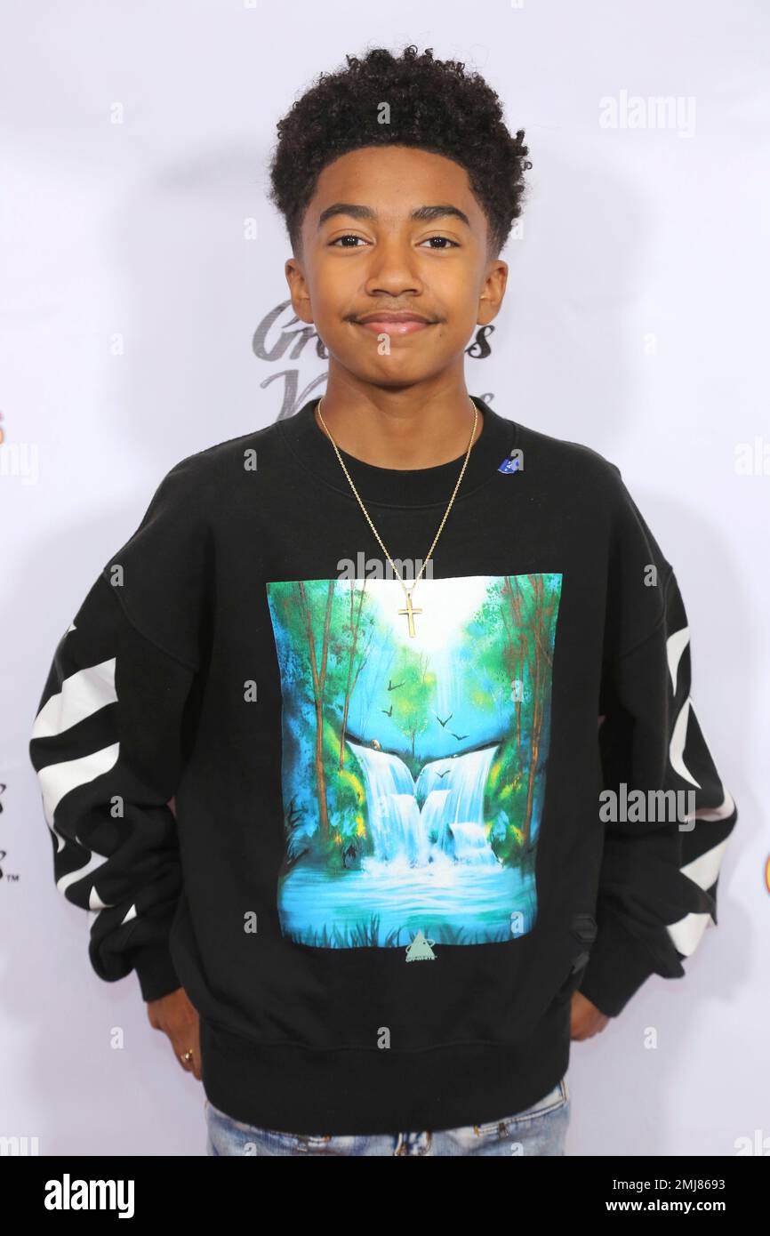 miles-brown-attends-the-la-premiere-of-boy-genius-at-the-arena