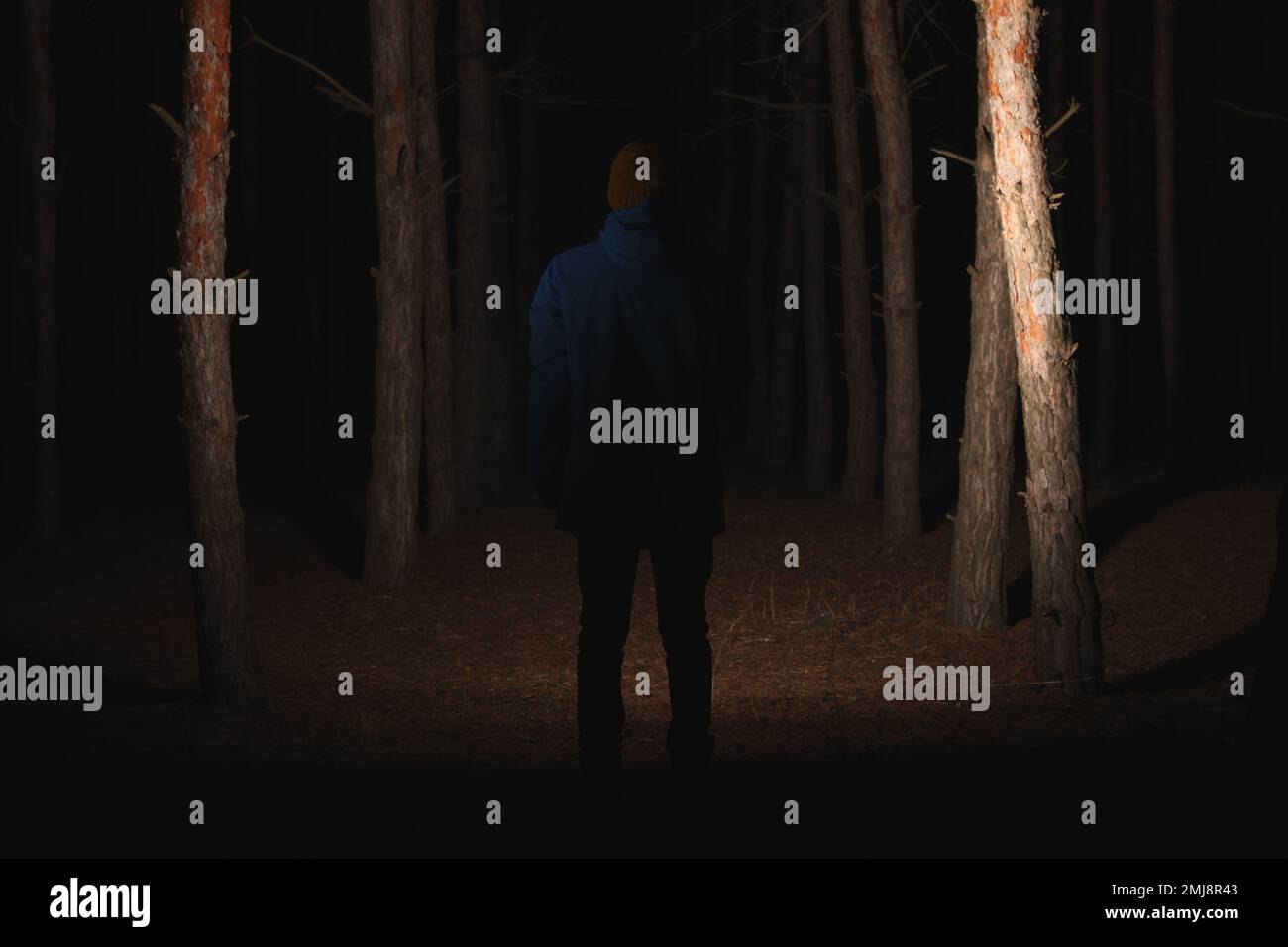 Man with bright flashlight in forest at night Stock Photo Alamy