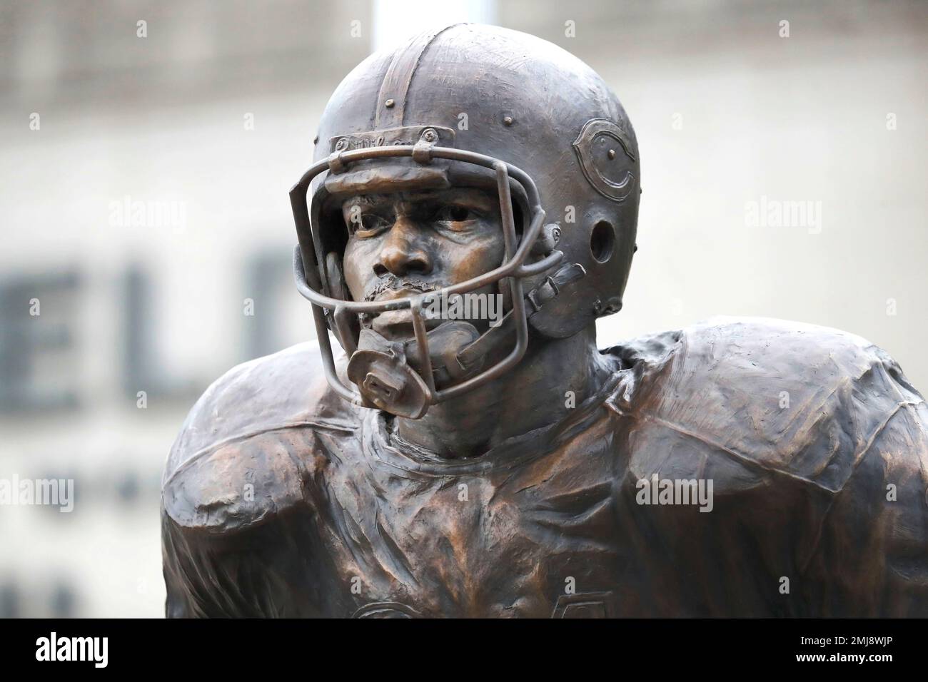 The newly dedicated statue of Chicago Bears and Pro Football Hall