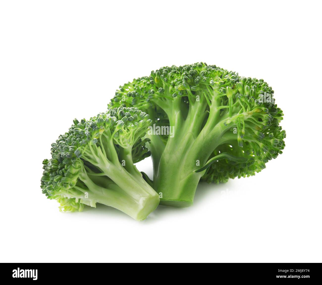 Fresh broccoli isolated on white. Edible green plant Stock Photo Alamy