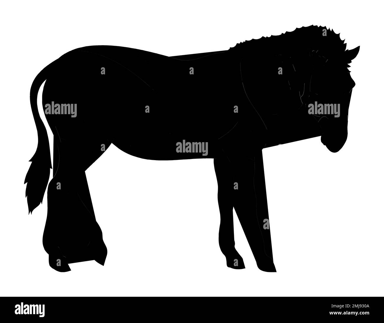 Silhouette of an African zebra on a white background Stock Vector Image ...