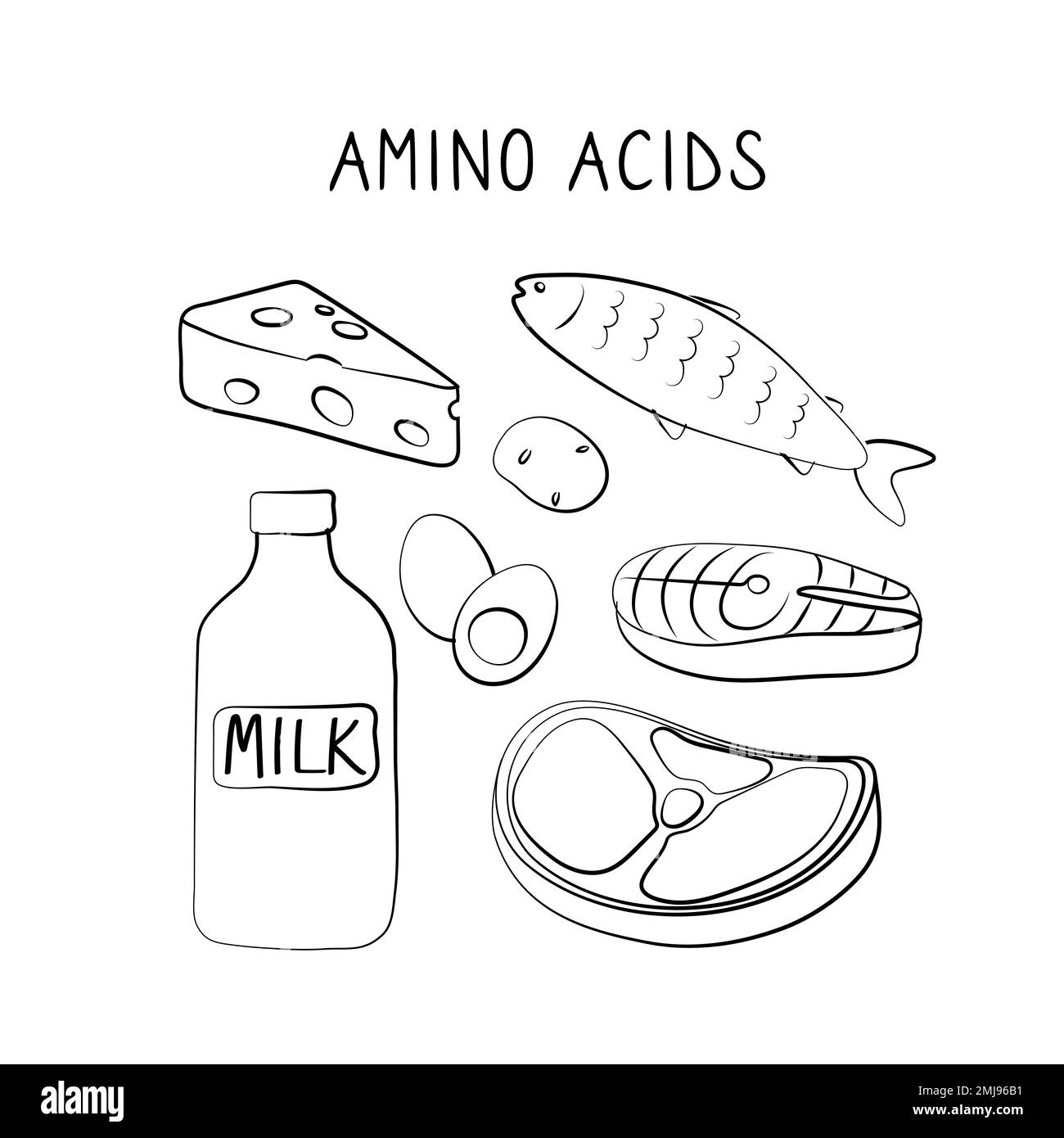 Amino acids-containing food. Groups of healthy products containing vitamins and minerals. Set of fruits, vegetables, meats, fish and dairy Stock Vector