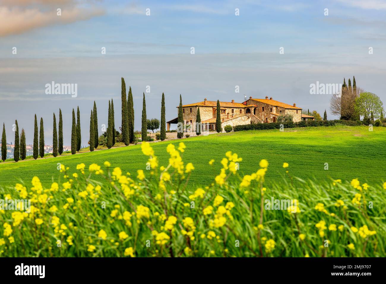 Typical landscape, house on a hill with cypress alley in spring in the ...