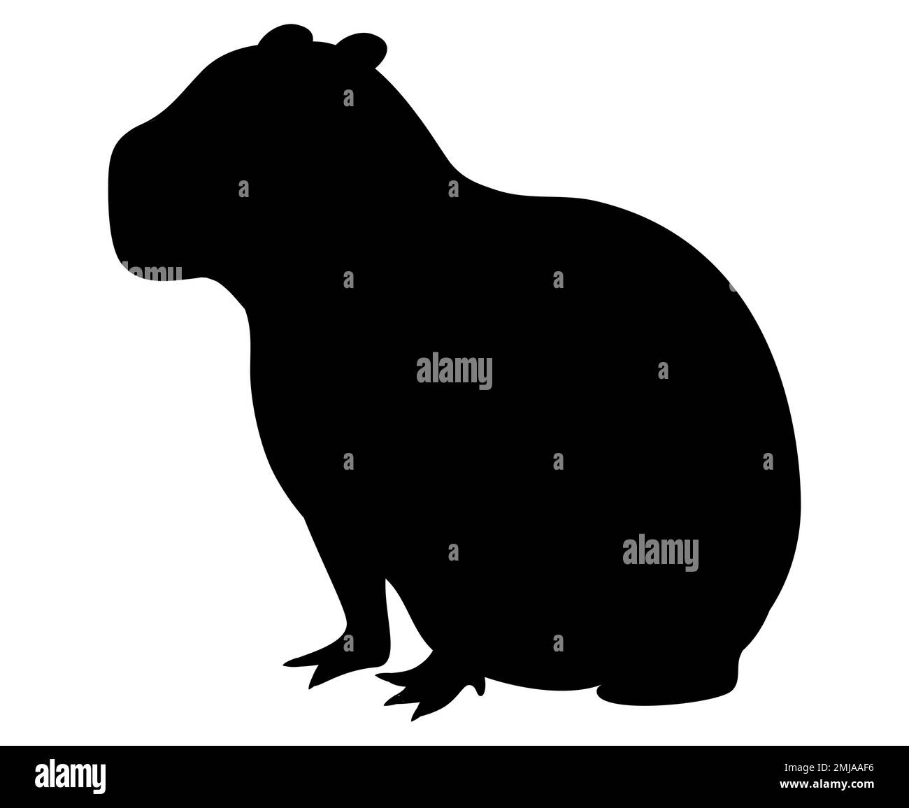 Alpine marmot alps stock vector images alamy