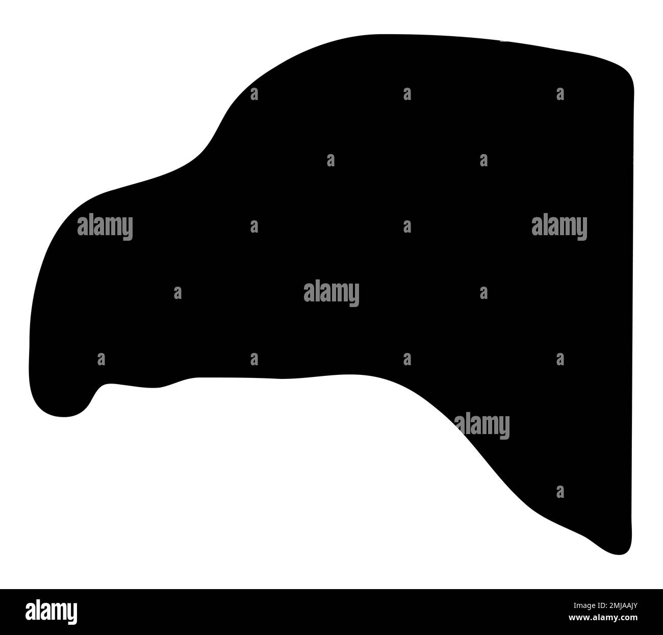 Eagle head silhouette, Black eagle face icon, Hawk head mascot, flying